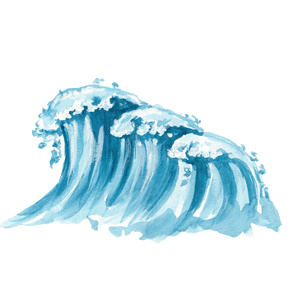 wave 2